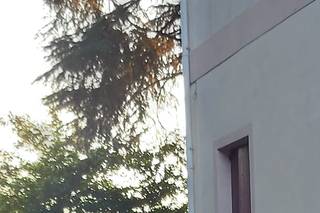 Villa Giustinian - 6