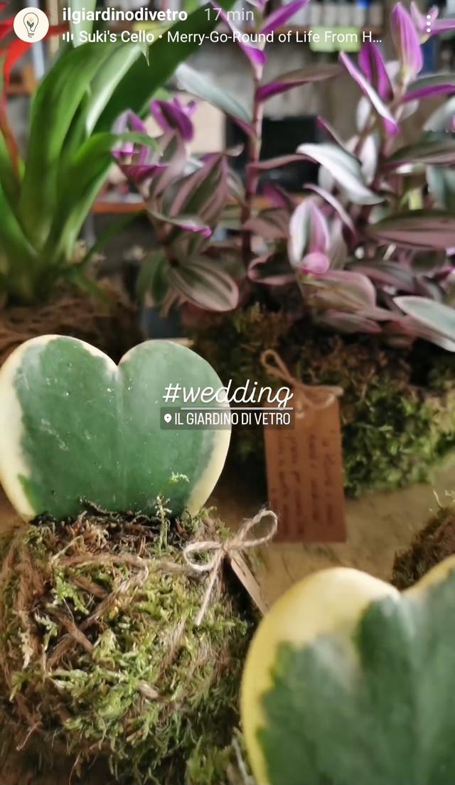 Il Giardino di Vetro - 2