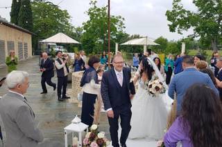 Maurizio Callegaro MCvideo - 9