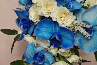 Fiori di Franca - 32