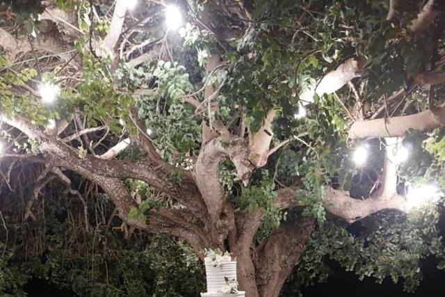 Gala Banqueting, Eventi 3