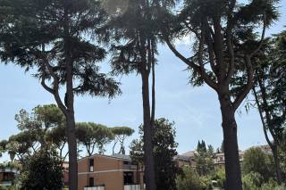 Villa Orsini - 5