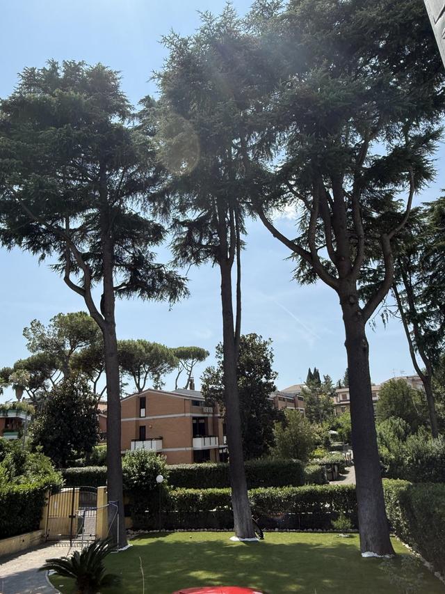 Villa Orsini - 2