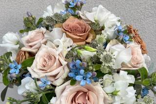 Gardenia di Paola Montanari - 23