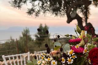 Frazzitta Fiori - 7