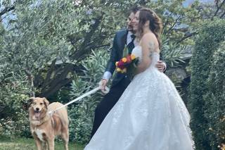 Orma Di Maya - Dog Sitter - 5