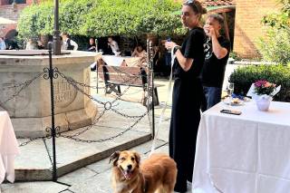 Orma Di Maya - Dog Sitter - 6