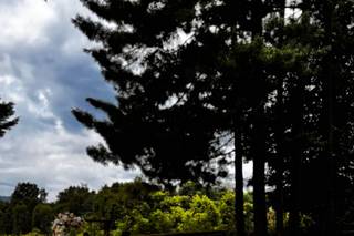 Zublena Roberta Fiori - 7