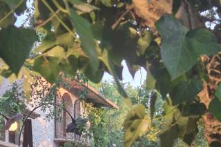AltroSenso Eventi - 10