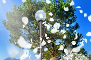 Fotografo Vincenzo Schettino - 15