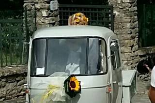 Fagnoli Massimo - 11