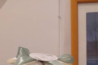 Gigi Piante Grasse - 5