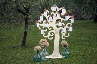 Albero sul lago - 12