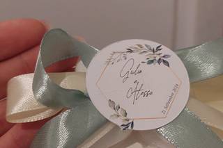 Gigi Piante Grasse - 6