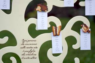 Albero sul lago - 13
