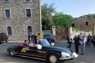 Le Auto di Giotto - 6