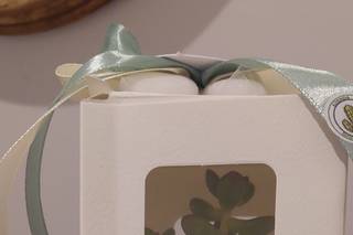 Gigi Piante Grasse - 7