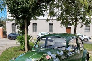 Mauro Cattadori - 12