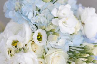 Peony Store - 6