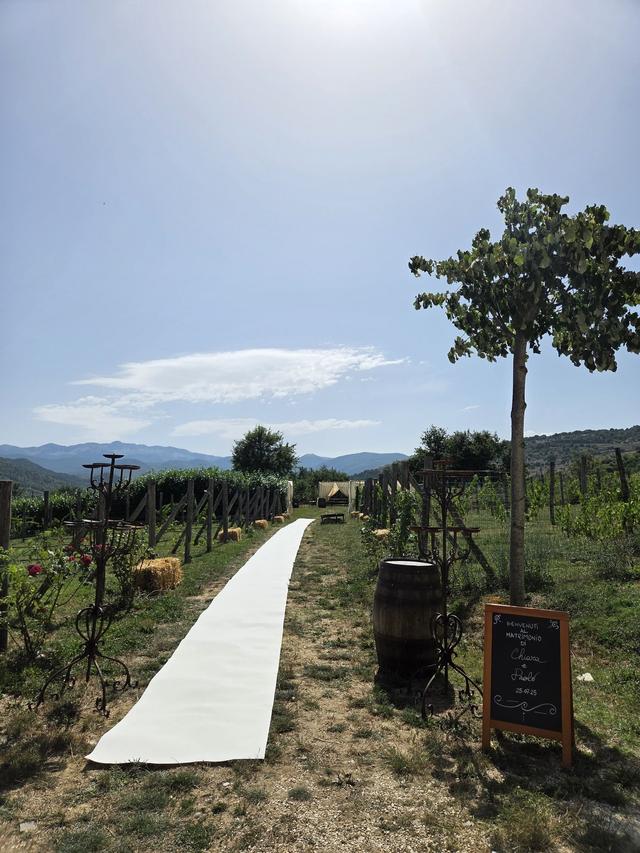 Tenuta di Castiglione - 2