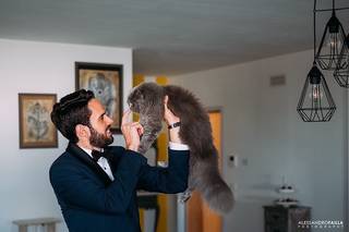 Alessandro Failla Photography - 15