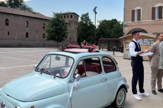 The Wedding Beetle - 5