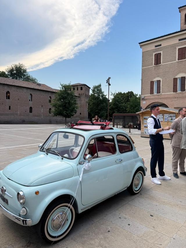 The Wedding Beetle - 2
