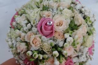 D'Armi Flor & Felix Garden - 18