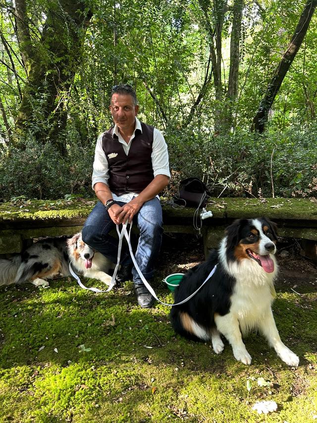 Luca Family Dog's - 2