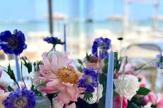 Amarissimo Cala Celeste - 10