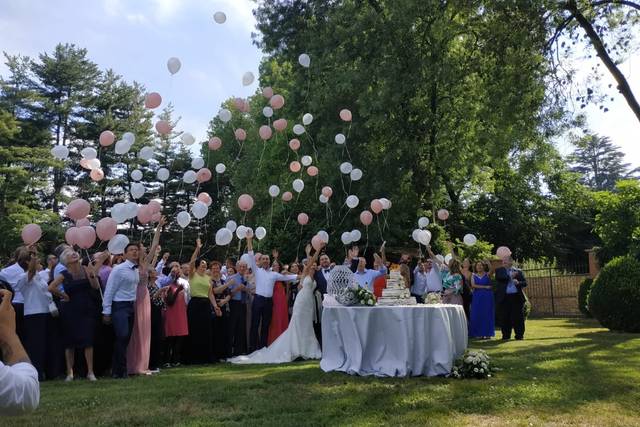 Gfg Balloons 1