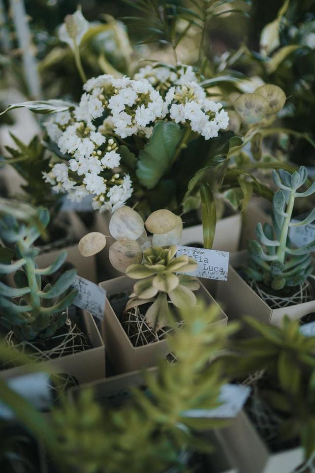 Koki Milano - 2