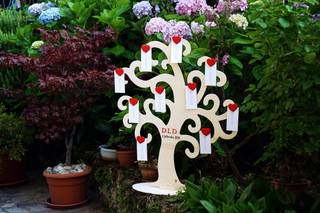 Albero sul lago - 17