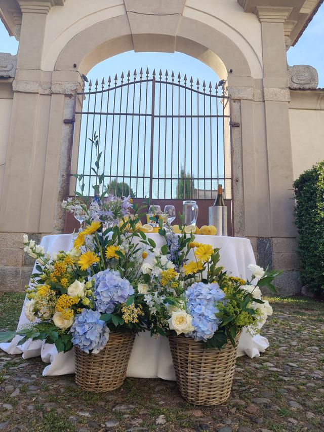 La Coccinella sul Fiore - 2