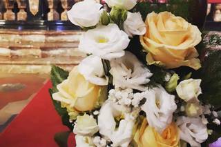 Colombo Fiori & Piante - 30