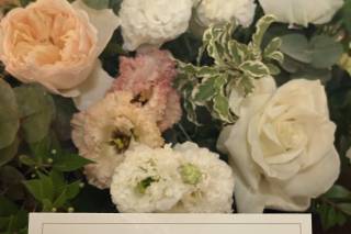 Colorcotto  -  Sede di Ostia Lido - 8