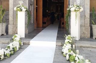 Petali Fiori e Forme - 19