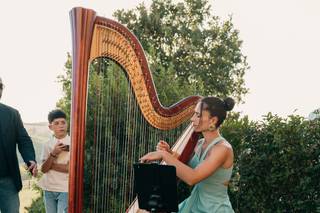 Arpa Chiara - 7