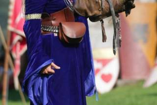 Il Regno dei Rapaci - 8