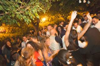 The Tartamellas - 10