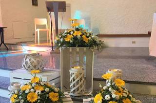 Green Service Paleari - 10