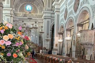 D'Agostino Antonino Piante&Fiori - 9