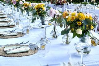 D'Agostino Antonino Piante&Fiori - 10