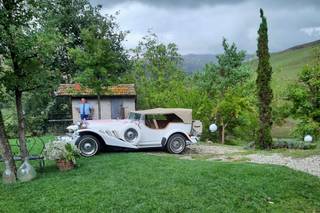 Autonoleggio Barbi - 12