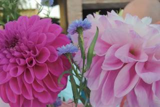 Boutique dei Fiori - 17