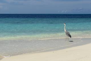 Emozionando per il Mondo Viaggi - 5