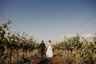 Tenuta di Fiorano - 5