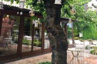 Ristorante Le Calandrine - 19