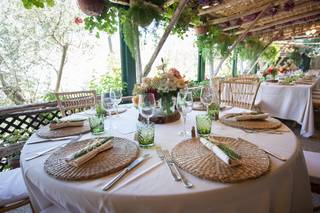 Agriturismo Fattoria Terranova - 8