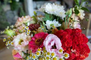 Agriturismo Fattoria Terranova - 9